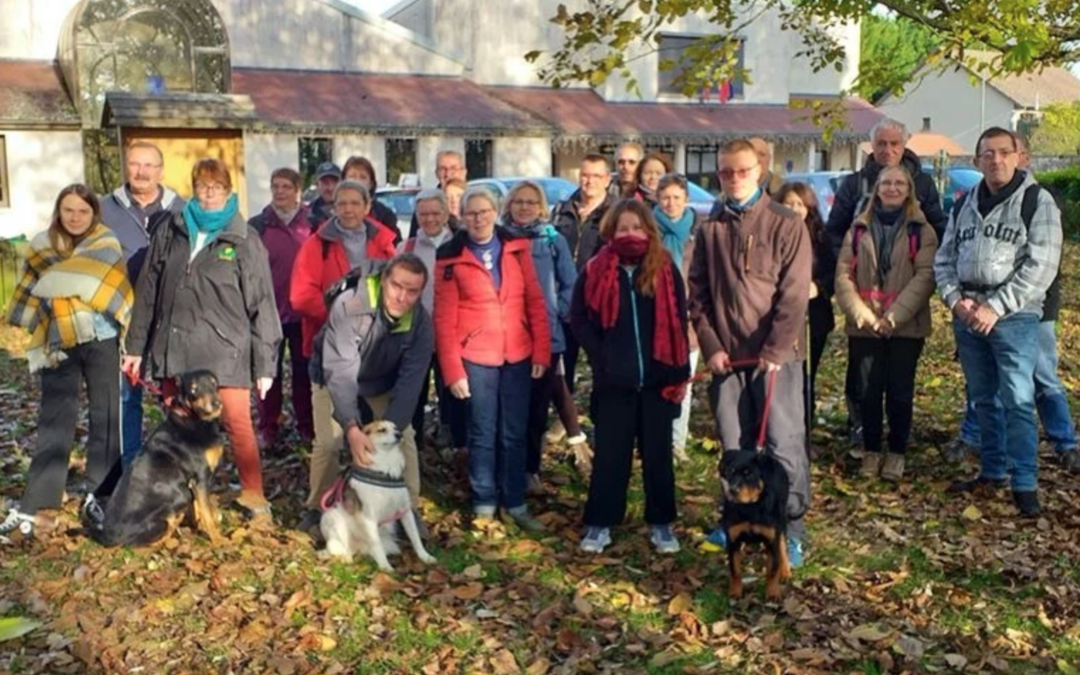 Une marche pour nos animaux