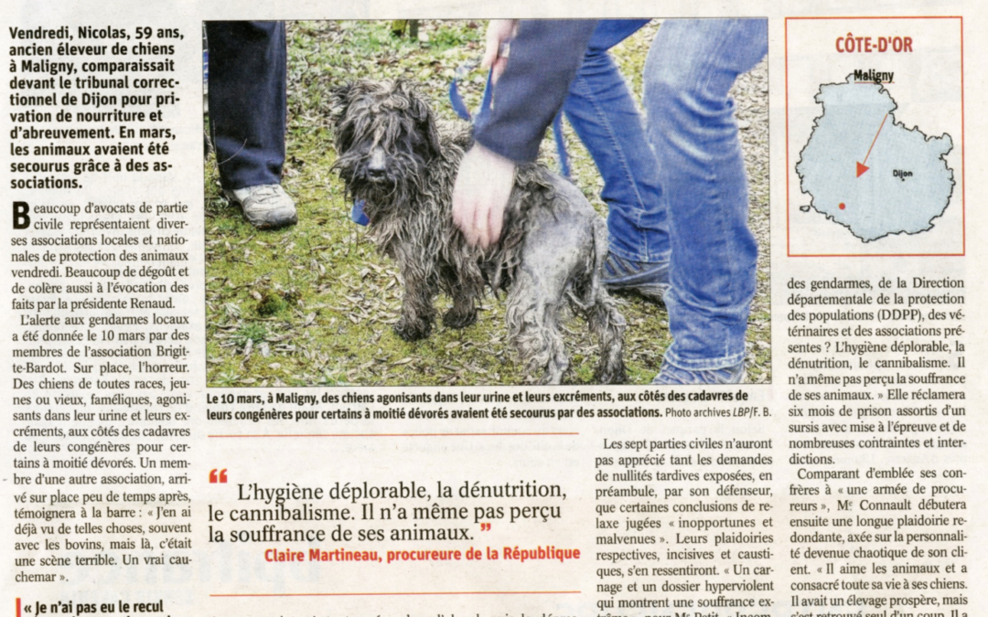 Article Bien Public du 16/09/19