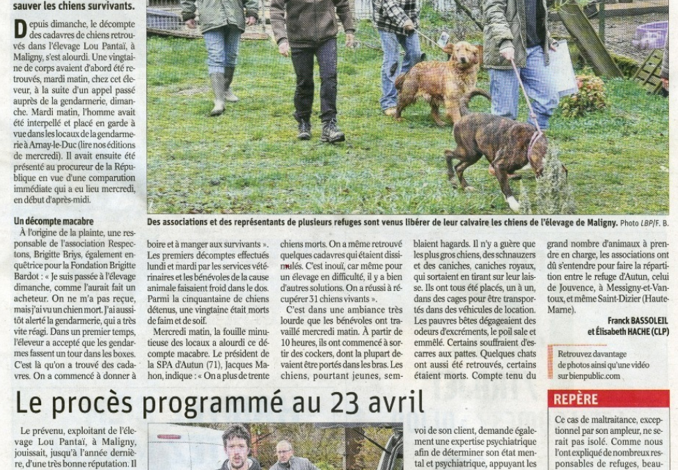 Article Bien Public du 14/03/19