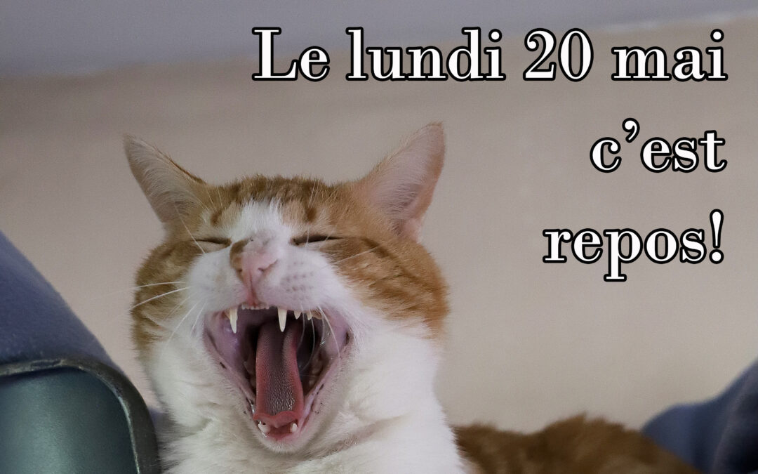 20 mai